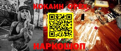 шишки Обь