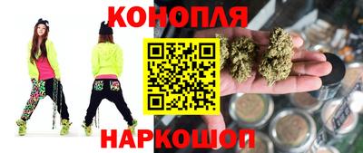 шишки Обь