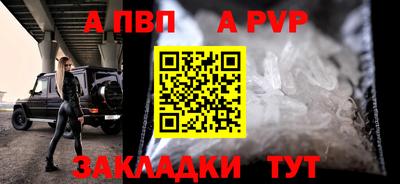 шишки Обь