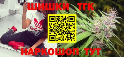 шишки Обь
